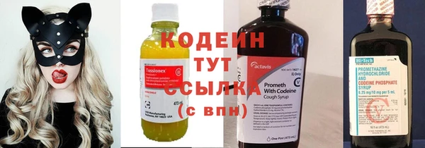 герыч Мегион