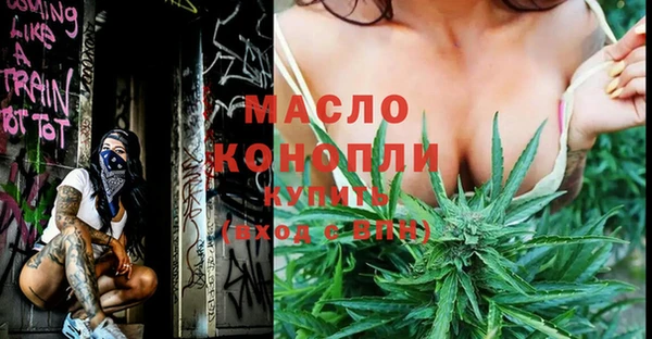 молекула духа Медвежьегорск