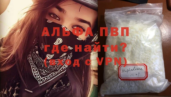 молекула духа Медвежьегорск