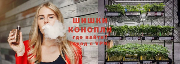 молекула духа Медвежьегорск