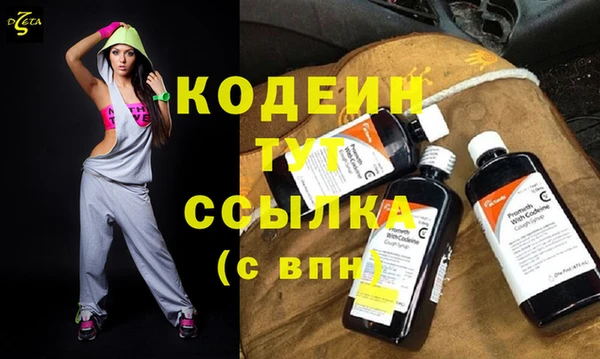 молекула духа Медвежьегорск