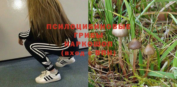 молекула духа Медвежьегорск