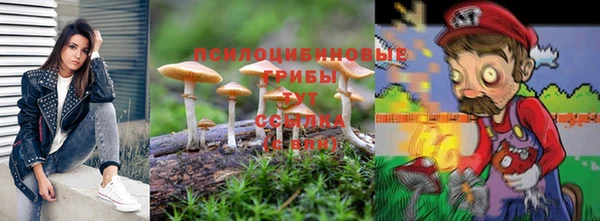 молекула духа Медвежьегорск