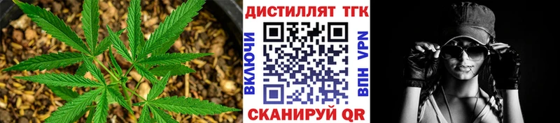 Купить  Козьмодемьянск  ТГК Wax 