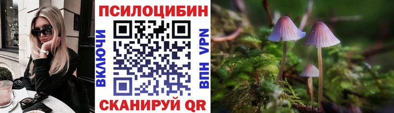 Купить где Козьмодемьянск Псилоцибиновые грибы ЛСД